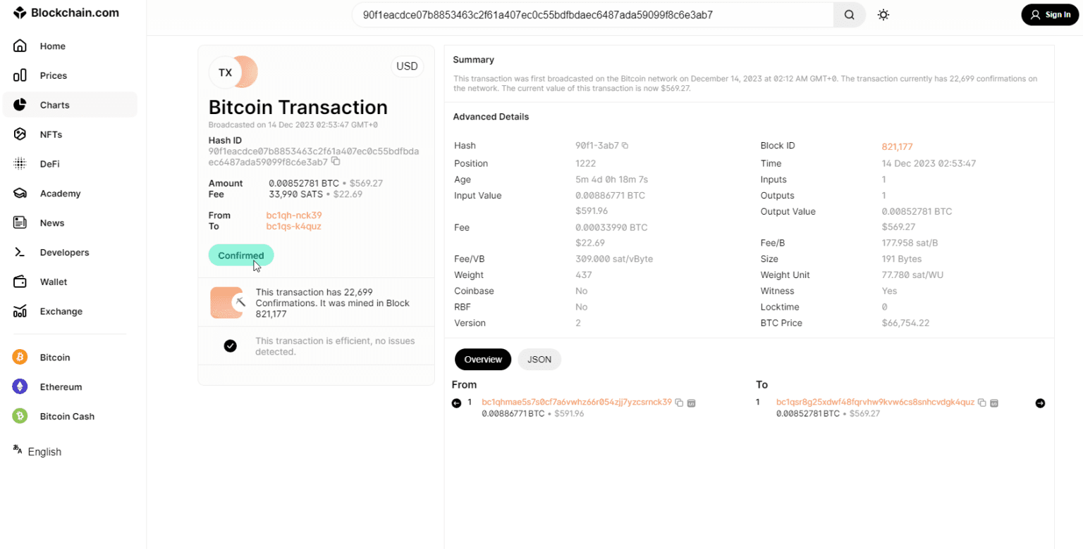 Review-transaction-on-blockchain-explorer-1536x780.png